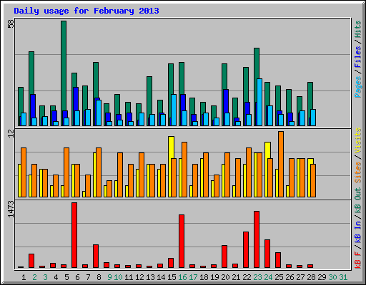 Daily usage for February 2013