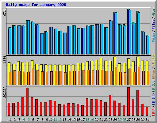 Daily usage for January 2020