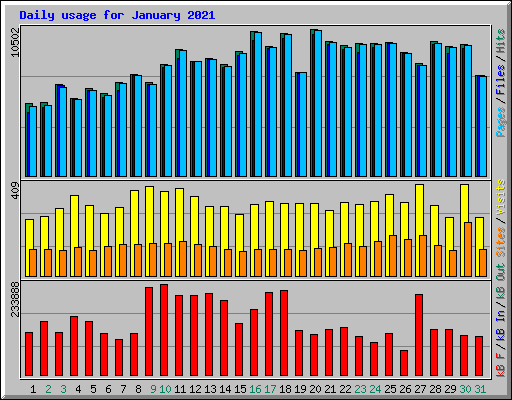 Daily usage for January 2021