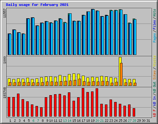 Daily usage for February 2021