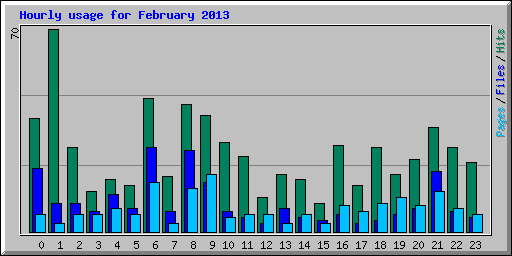 Hourly usage for February 2013