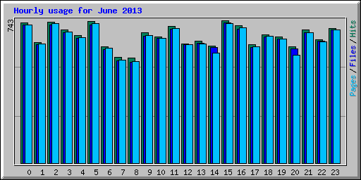 Hourly usage for June 2013