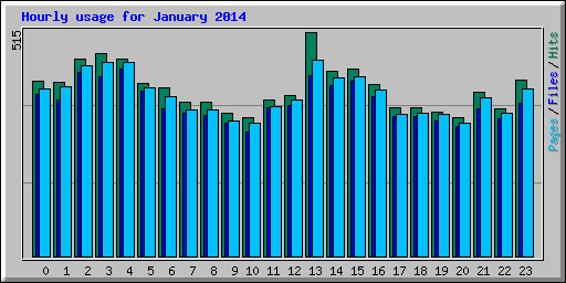 Hourly usage for January 2014