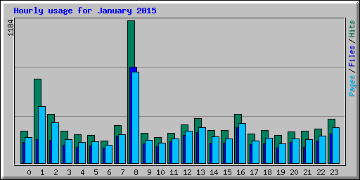 Hourly usage for January 2015