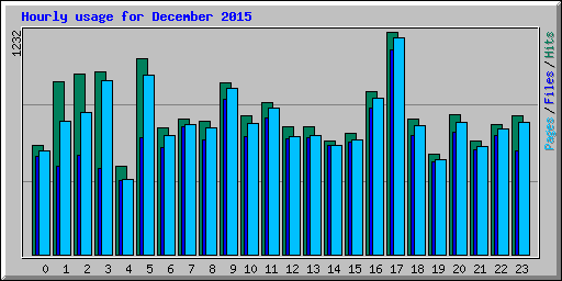 Hourly usage for December 2015