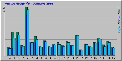 Hourly usage for January 2016