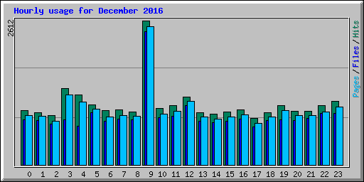 Hourly usage for December 2016