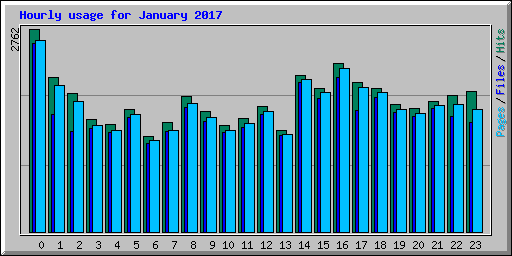 Hourly usage for January 2017