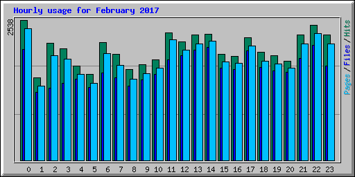 Hourly usage for February 2017