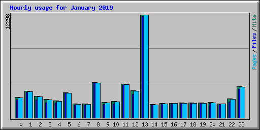 Hourly usage for January 2019