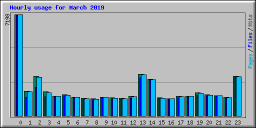 Hourly usage for March 2019