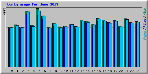 Hourly usage for June 2019