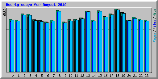 Hourly usage for August 2019