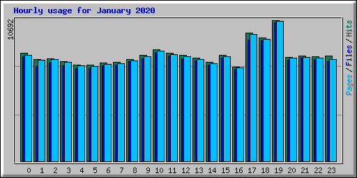 Hourly usage for January 2020