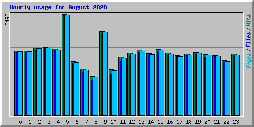 Hourly usage for August 2020