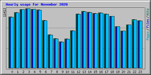 Hourly usage for November 2020