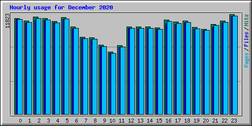 Hourly usage for December 2020