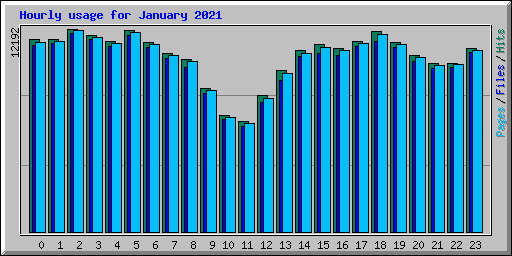 Hourly usage for January 2021