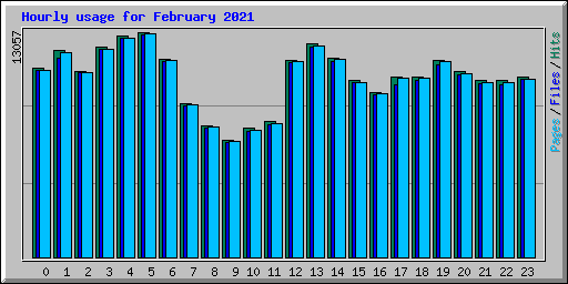 Hourly usage for February 2021