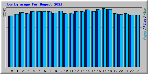 Hourly usage for August 2021